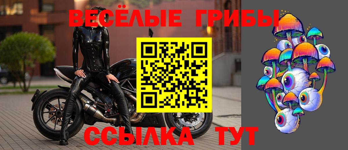 Галлюциногенные грибы Psilocybine cubensis Амурск